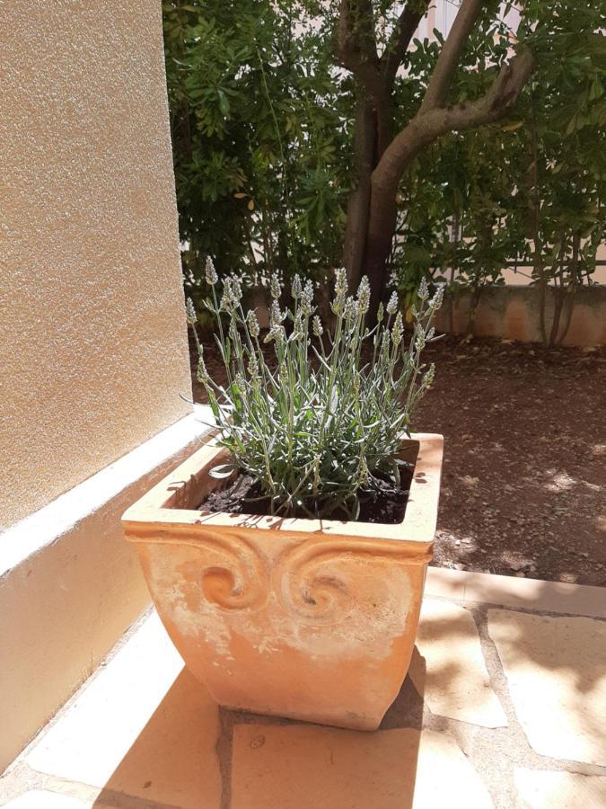 Kuca Za Odmor Lavanda Poljica  Exterior foto